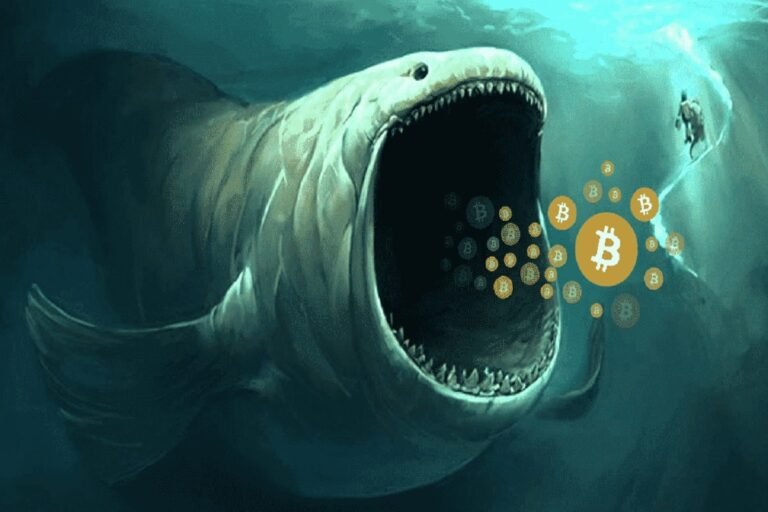 Bitcoinowe wieloryby kupują każdy spadek, cena BTC odzyskuje poziom 40 000 USD